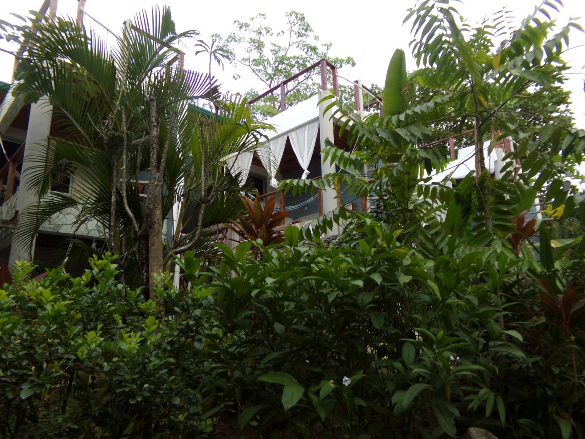 Iluminar Beachfront Suites Nosara Eksteriør billede